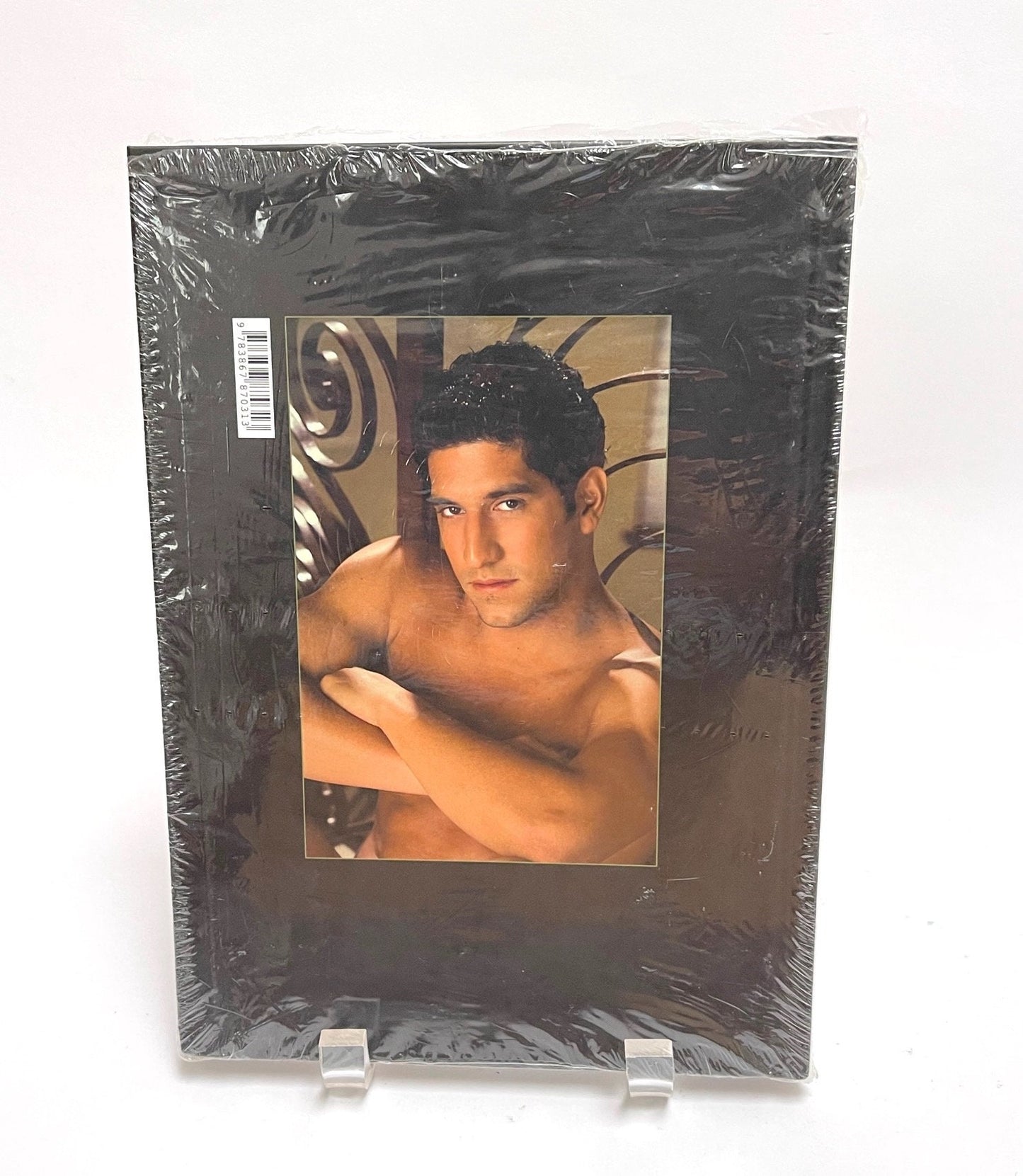 Champions by Falcon 2009 Hardcover MINT condition in original plastic published by Bruno Gmunder