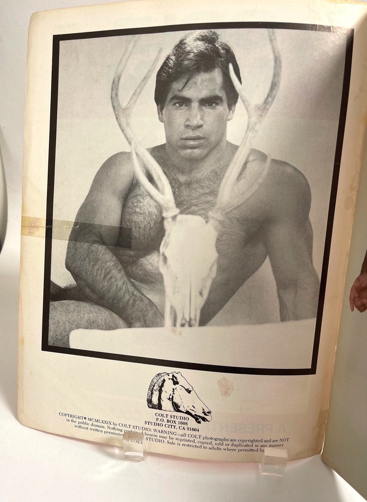 Vintage Colt Magazine Issue Number 6 published 1979 The Hairy Chested Male Special Feature. Intro Franco Arbruzzi. mature content
